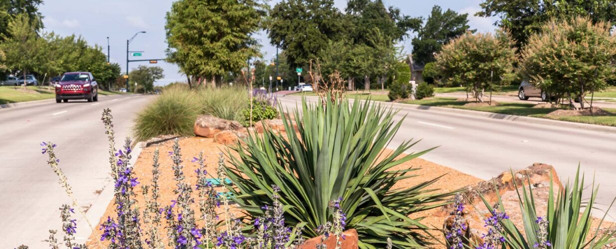 plants and flowers on road median for North Colony Boulevard