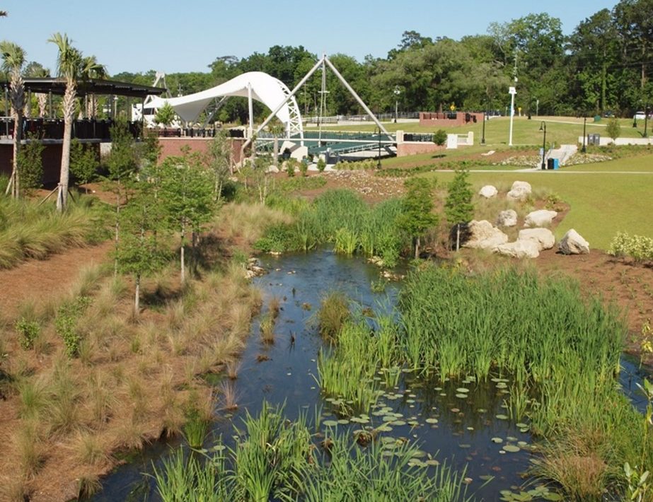 Stream bank flowing along Capital Cascades Park