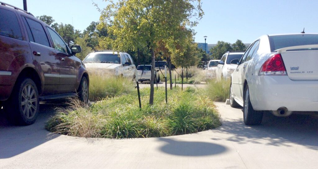 Rain Garden